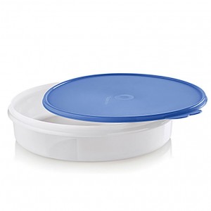 Freezer Storage Tupperware Round Container Dragonfly | TKGSB-0965