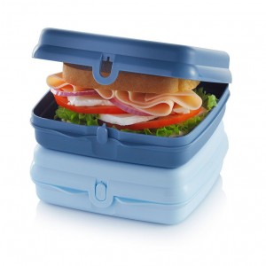 Lunch and Snacks Tupperware Eco+ Sandwich Keepers White / Blue | TXGBZ-6430