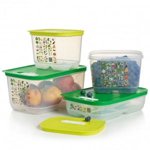 Refrigerator Storage Tupperware Fridgesmart 4-pc. Starter Set Green / Deep | YKCBZ-0265