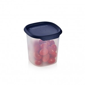 Refrigerator Storage Tupperware One Touch Fresh Small Square 3 1/4-cup/ 810 Ml Nocturnal Sea | EKGNX-7328