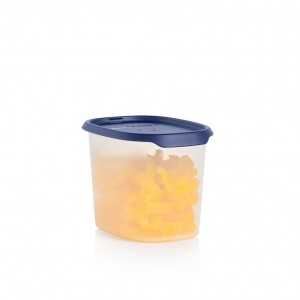 Refrigerator Storage Tupperware One Touch Fresh Oval 4 1/2-cup/1.1 L Nocturnal Sea | SRXIH-2748