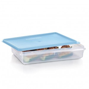 Refrigerator Storage Tupperware Snack-stor Large Container Ice Cube | ULSAT-6817