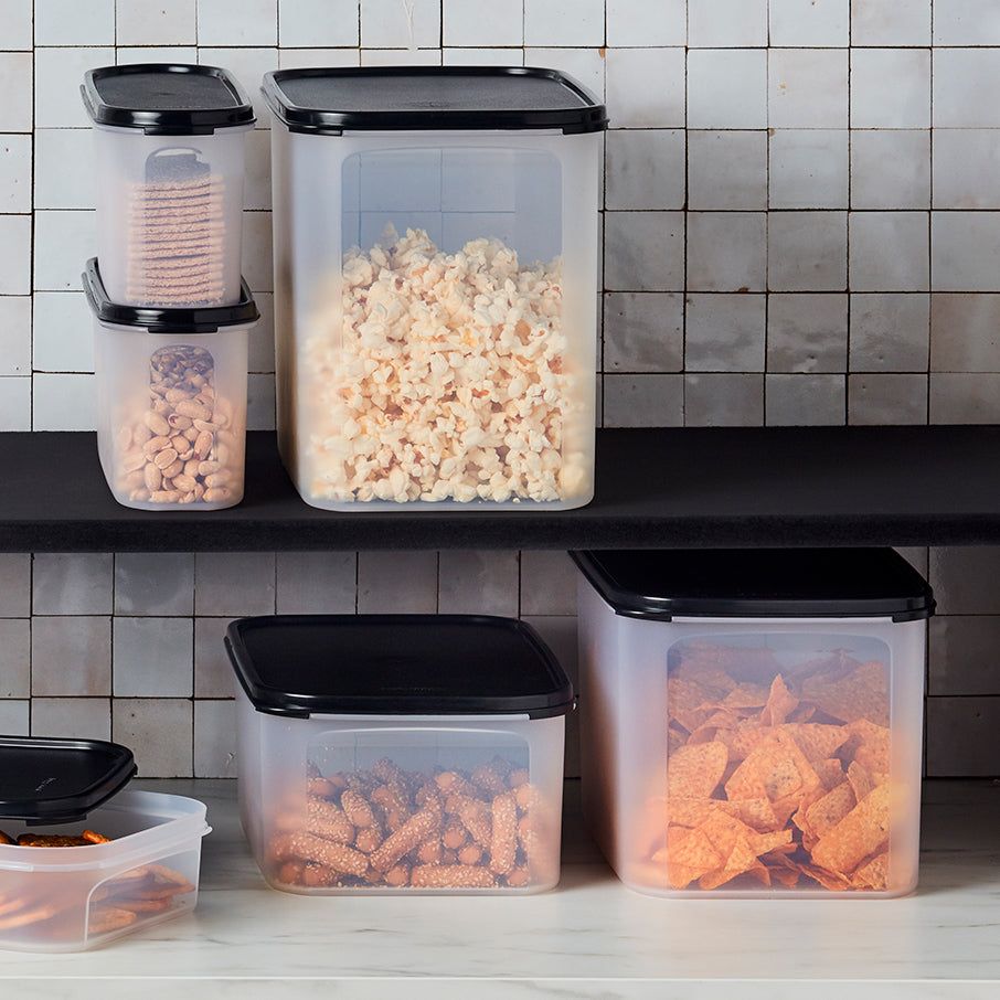 Dry Storage Tupperware Modular Mates Rectangular 2 | SDHRU-7430