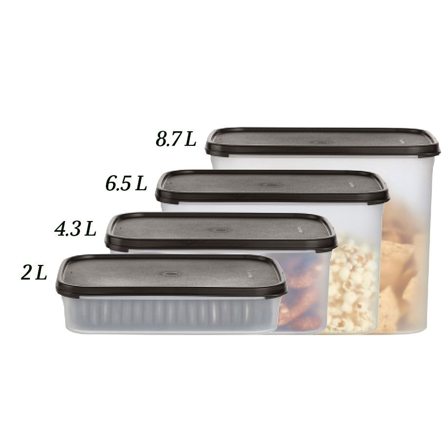 Dry Storage Tupperware Modular Mates Rectangular 2 | SDHRU-7430