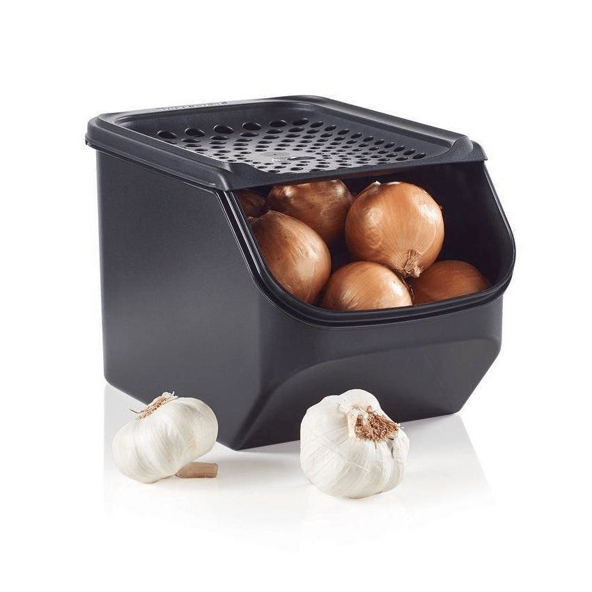 Dry Storage Tupperware Onion & Garlic Smart? Container Black | GLKOI-1682