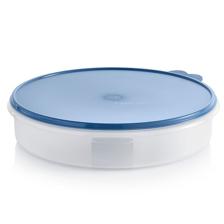 Freezer Storage Tupperware Round Container Dragonfly | TKGSB-0965