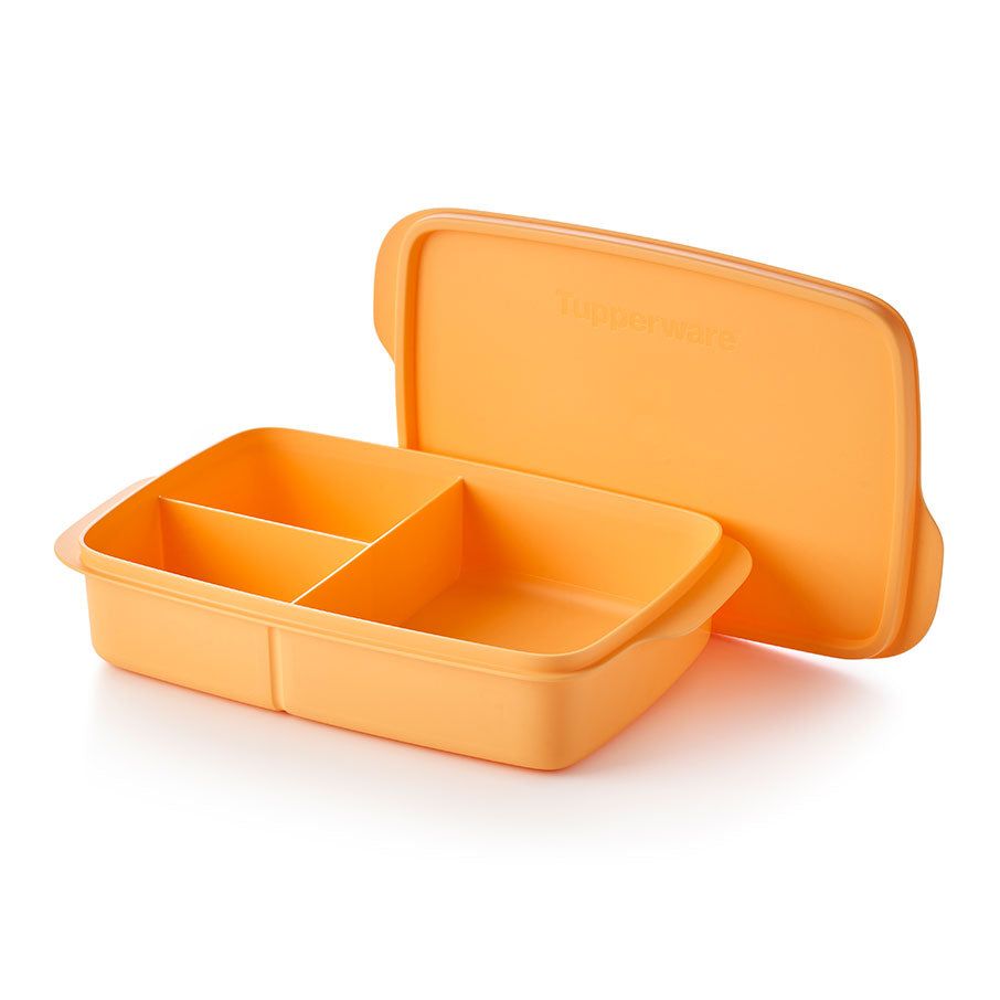 Lunch and Snacks Tupperware Eco+ Lunch-it Large Container sOrange Taffy | OKYWT-3274