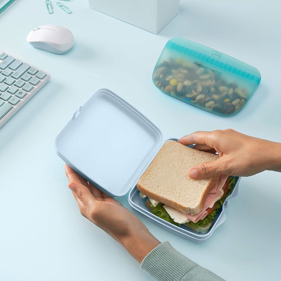 Lunch and Snacks Tupperware Eco+ Sandwich Keepers White / Blue | TXGBZ-6430