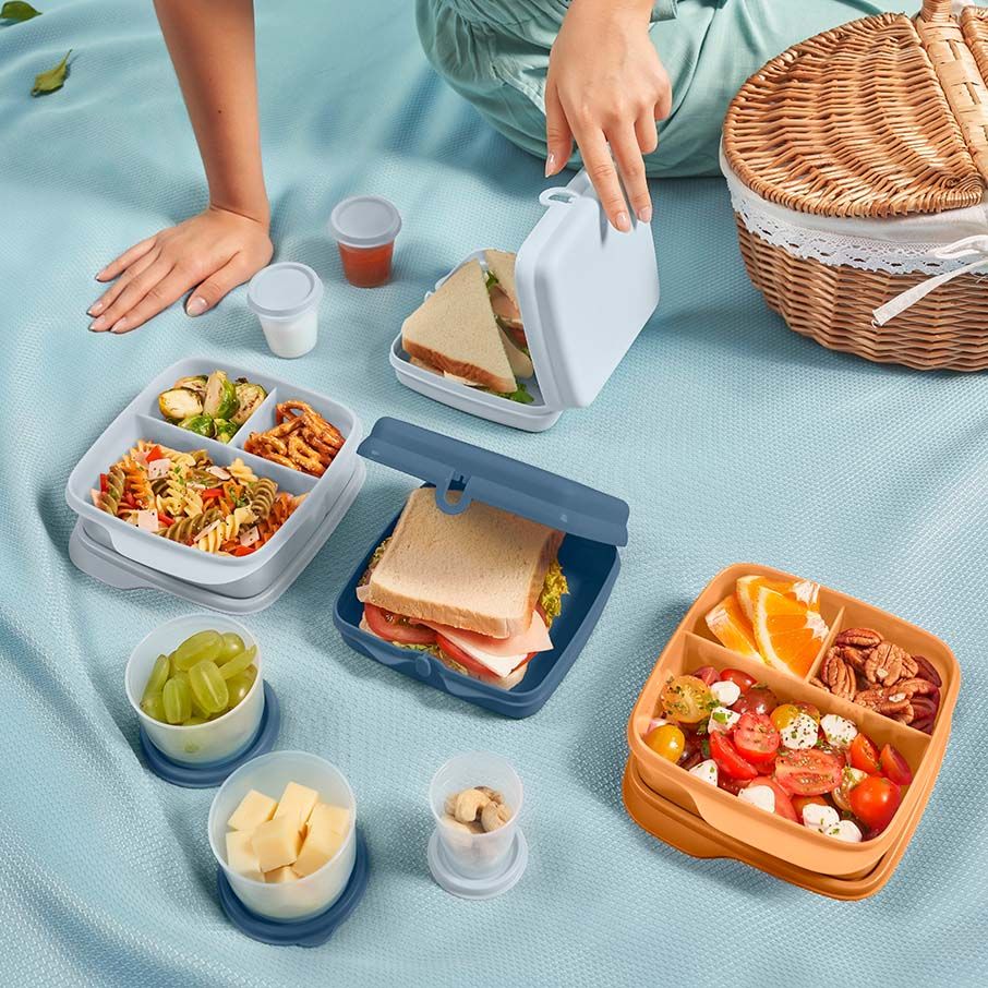 Lunch and Snacks Tupperware Eco+ Sandwich Keepers White / Blue | TXGBZ-6430