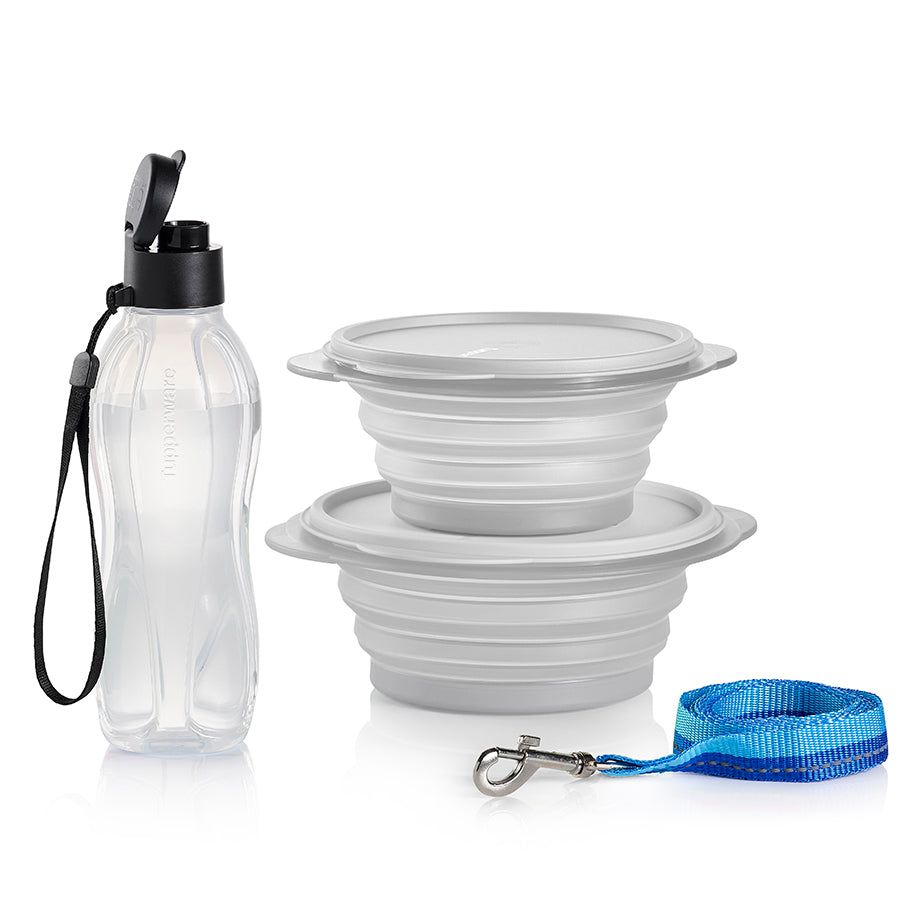 Plates and Bowls Tupperware Tupperpets Flatout! Travel Set Black | OBSJK-2814