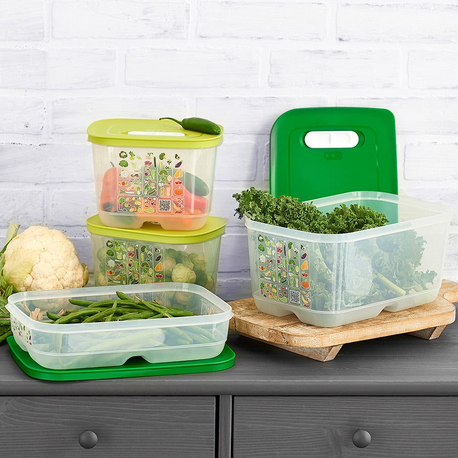 Refrigerator Storage Tupperware Fridgesmart 4-pc. Starter Set Green / Deep | YKCBZ-0265