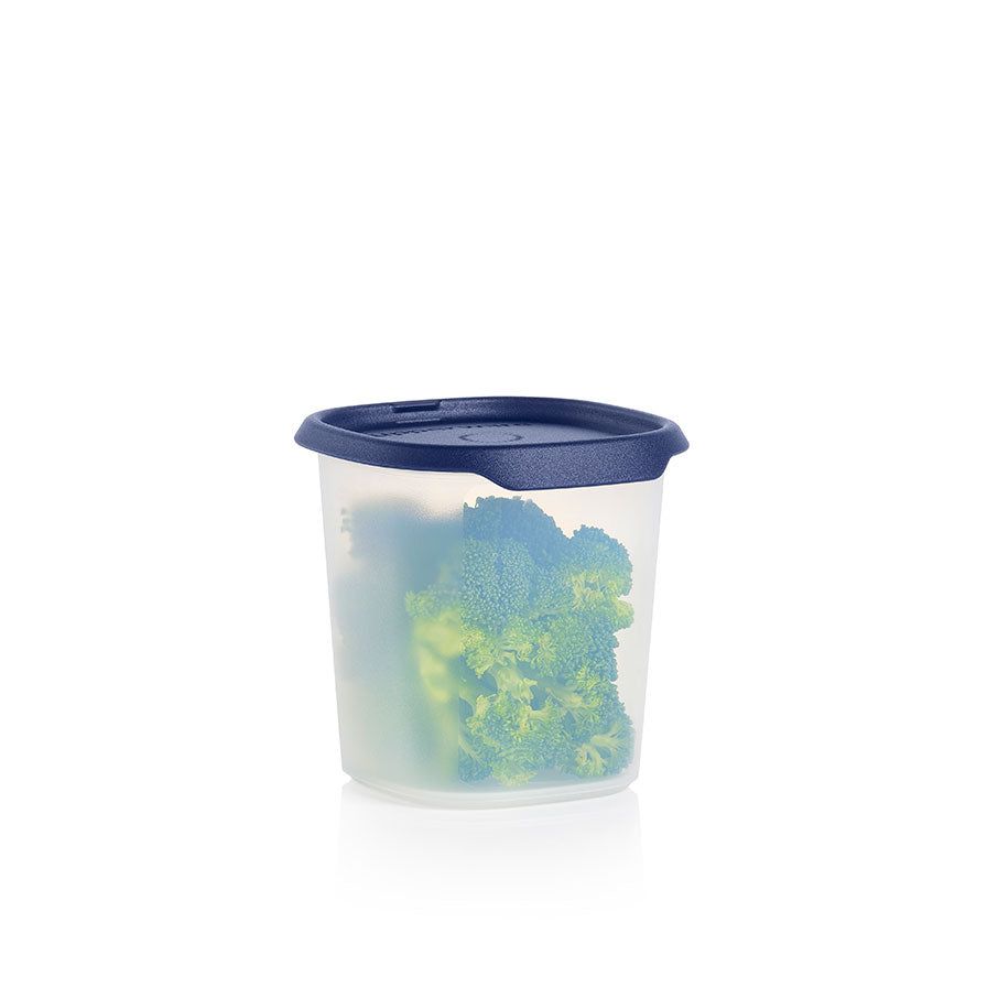 Refrigerator Storage Tupperware One Touch Fresh Small Square 3 1/4-cup/ 810 Ml Nocturnal Sea | EKGNX-7328