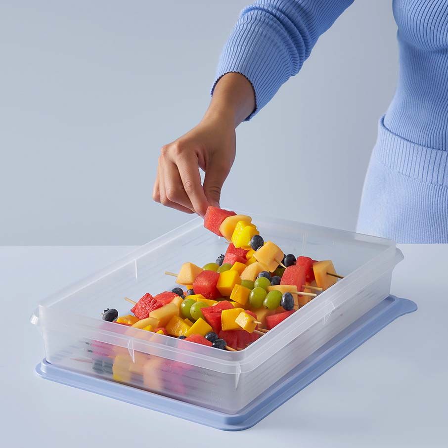 Refrigerator Storage Tupperware Snack-stor Large Container Ice Cube | ULSAT-6817